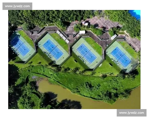 全球体育赛事盛况与运动员精神风貌的多元融合与发展趋势探析